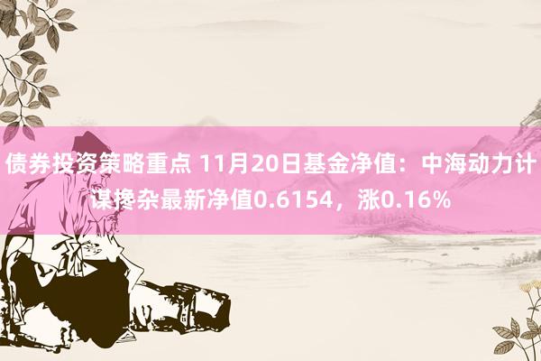 债券投资策略重点 11月20日基金净值：中海动力计谋搀杂最新净值0.6154，涨0.16%