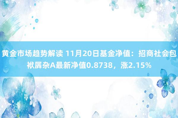 黄金市场趋势解读 11月20日基金净值：招商社会包袱羼杂A最新净值0.8738，涨2.15%