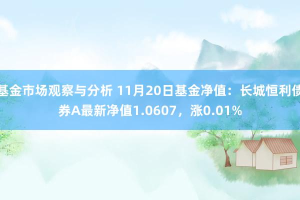 基金市场观察与分析 11月20日基金净值：长城恒利债券A最新净值1.0607，涨0.01%