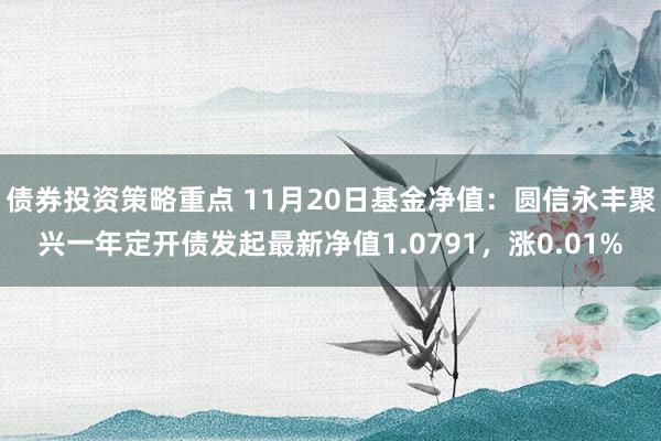 债券投资策略重点 11月20日基金净值：圆信永丰聚兴一年定开债发起最新净值1.0791，涨0.01%