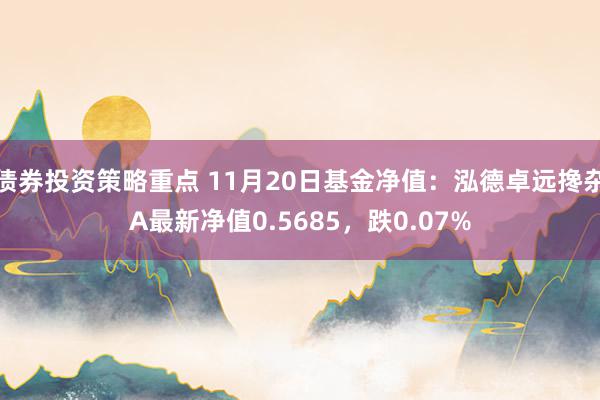 债券投资策略重点 11月20日基金净值：泓德卓远搀杂A最新净值0.5685，跌0.07%