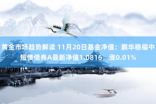 黄金市场趋势解读 11月20日基金净值：鹏华稳福中短债债券A最新净值1.0816，涨0.01%