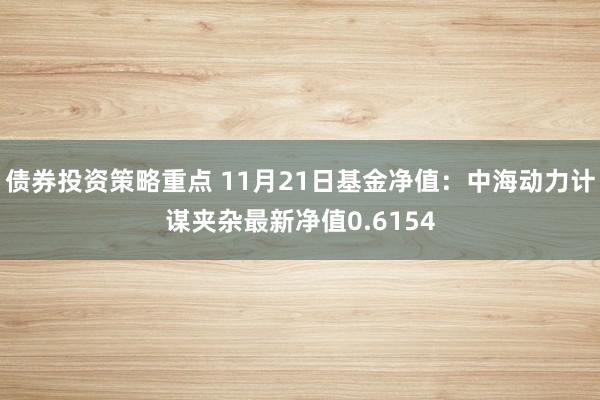 债券投资策略重点 11月21日基金净值：中海动力计谋夹杂最新净值0.6154