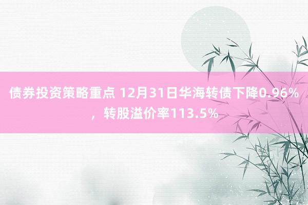 债券投资策略重点 12月31日华海转债下降0.96%，转股溢价率113.5%