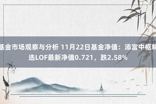 基金市场观察与分析 11月22日基金净值：添富中枢精选LOF最新净值0.721，跌2.58%