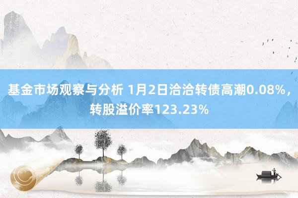 基金市场观察与分析 1月2日洽洽转债高潮0.08%，转股溢价率123.23%