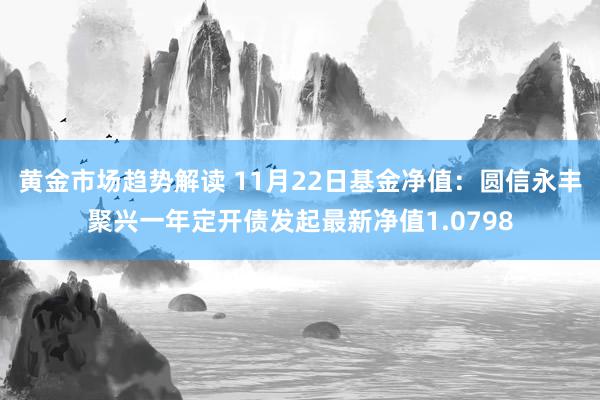 黄金市场趋势解读 11月22日基金净值：圆信永丰聚兴一年定开债发起最新净值1.0798