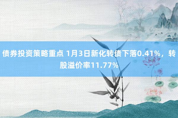 债券投资策略重点 1月3日新化转债下落0.41%，转股溢价率11.77%