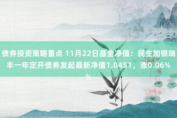 债券投资策略重点 11月22日基金净值：民生加银瑞丰一年定开债券发起最新净值1.0451，涨0.06%