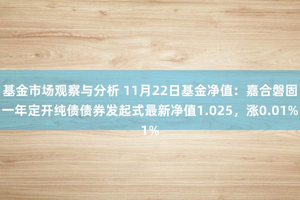 基金市场观察与分析 11月22日基金净值：嘉合磐固一年定开纯债债券发起式最新净值1.025，涨0.01%