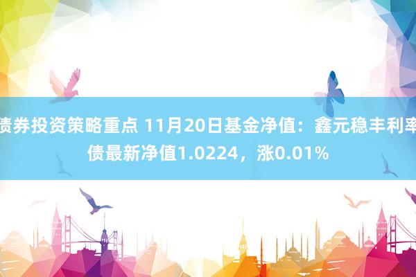 债券投资策略重点 11月20日基金净值：鑫元稳丰利率债最新净值1.0224，涨0.01%