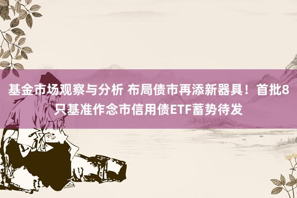 基金市场观察与分析 布局债市再添新器具！首批8只基准作念市信用债ETF蓄势待发