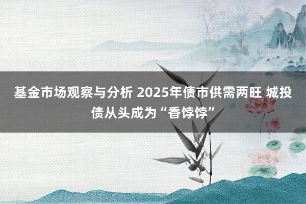 基金市场观察与分析 2025年债市供需两旺 城投债从头成为“香饽饽”