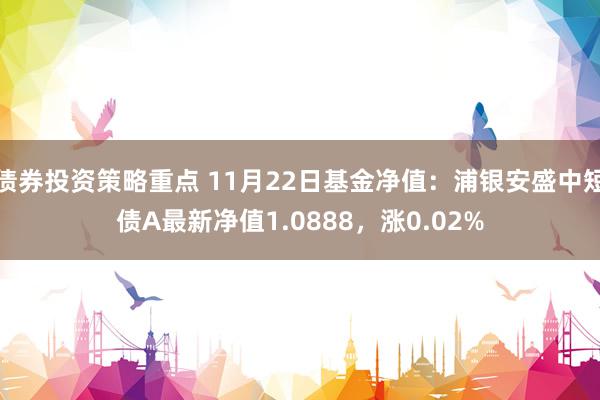 债券投资策略重点 11月22日基金净值：浦银安盛中短债A最新净值1.0888，涨0.02%