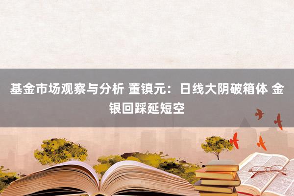 基金市场观察与分析 董镇元：日线大阴破箱体 金银回踩延短空