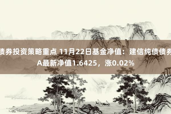 债券投资策略重点 11月22日基金净值：建信纯债债券A最新净值1.6425，涨0.02%