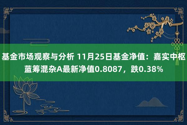 基金市场观察与分析 11月25日基金净值：嘉实中枢蓝筹混杂A最新净值0.8087，跌0.38%