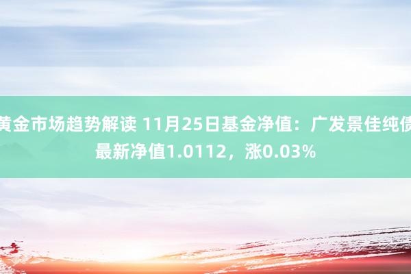 黄金市场趋势解读 11月25日基金净值：广发景佳纯债最新净值1.0112，涨0.03%