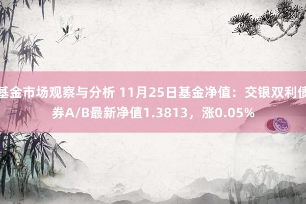 基金市场观察与分析 11月25日基金净值：交银双利债券A/B最新净值1.3813，涨0.05%